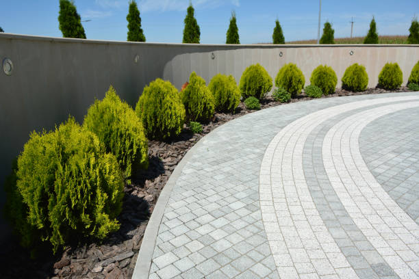Best Decorative Driveway Pavers  in Wildwood, NJ